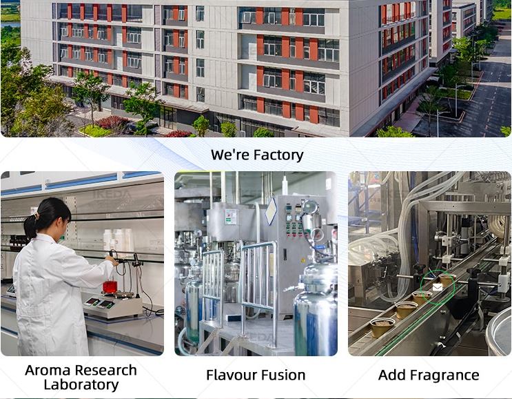 Car Air Fresheners Manufacturer