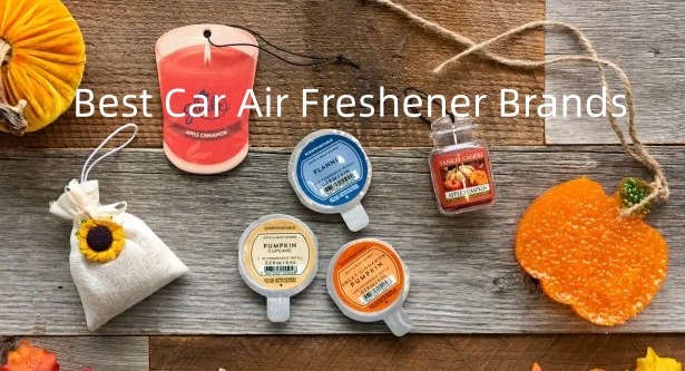 Best Car Air Freshener Brands